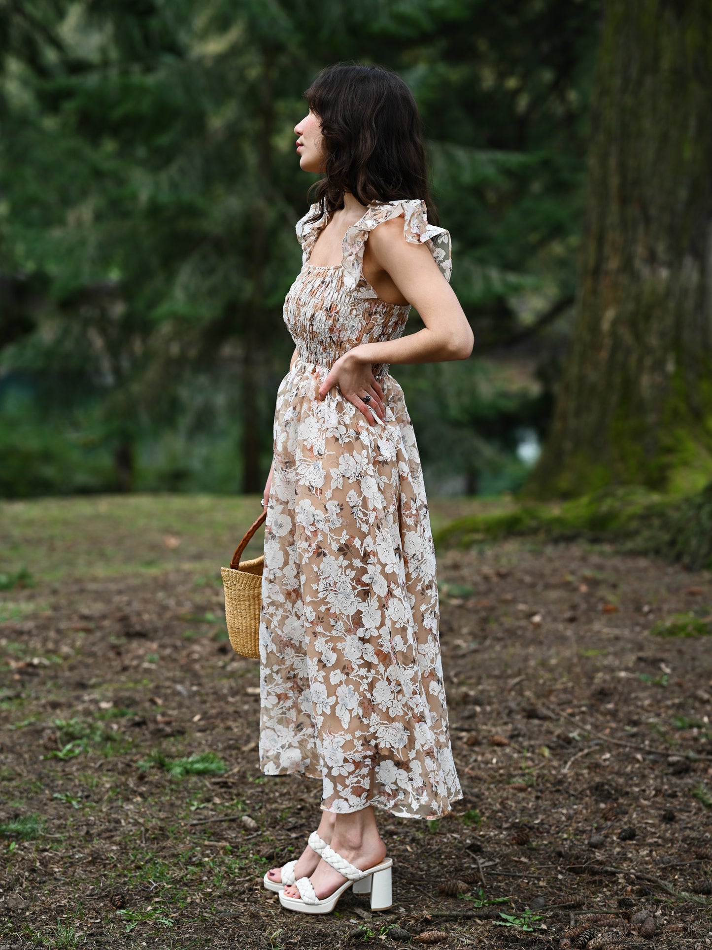Chaumont Dress