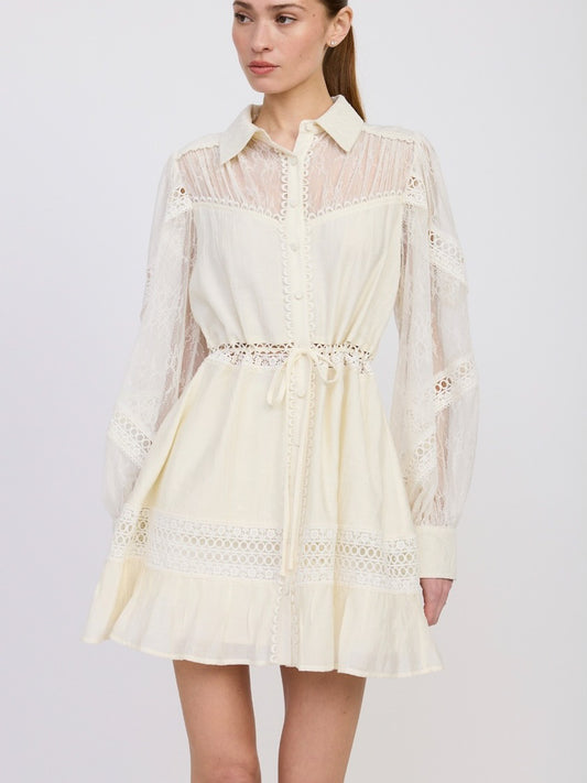 Alannah Mini Dress